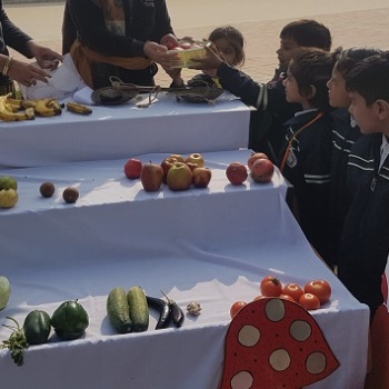 Vegetable Buying